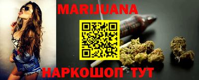 индика Ставрополь