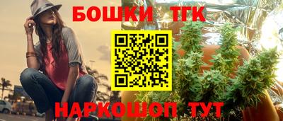 крисы Тверь