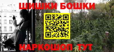 крисы Тверь