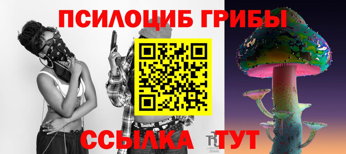 Галлюциногенные грибы Cubensis Нововоронеж